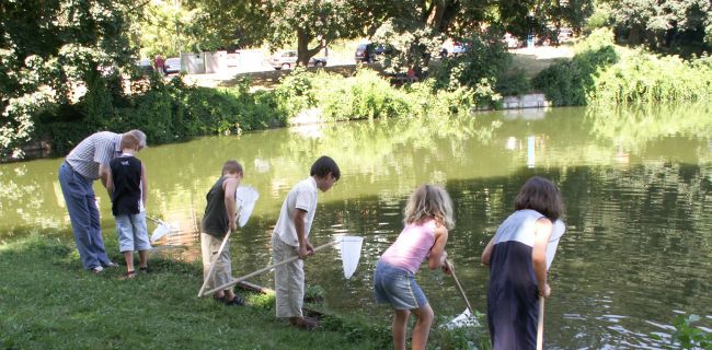 Keschern am Mühlenteich