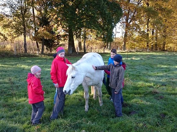 Kinder streicheln ein Pferd