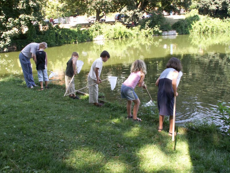 Keschern am Mühlenteich