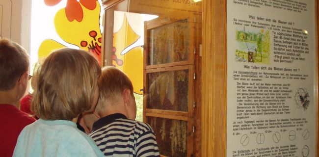 Gläserner Bienenstock