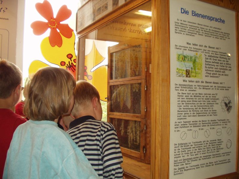 Gläserner Bienenstock