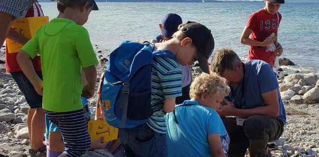 Kinder am Strand bei der Veranstaltung Steine für Kids