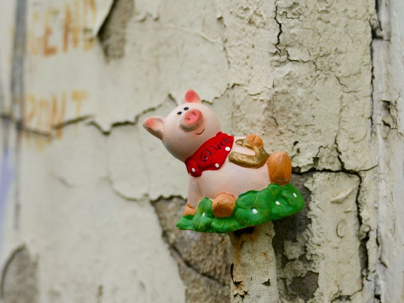 Glücksschwein auf Mauer