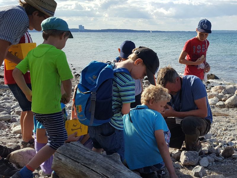 Kinder am Strand bei der Veranstaltung Steine für Kids