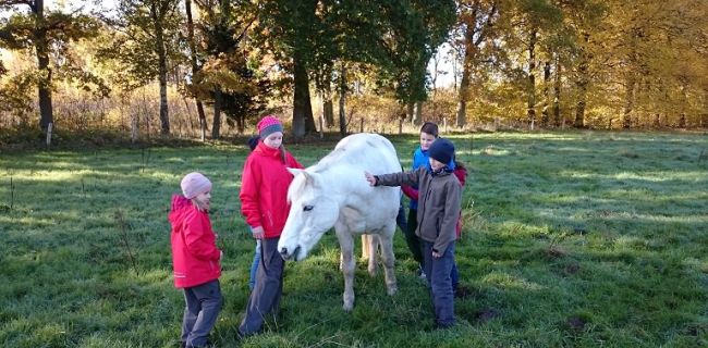 Kinder streicheln ein Pferd